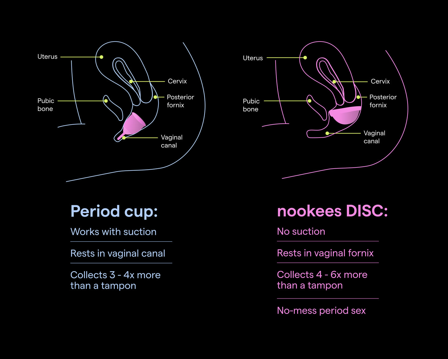 THE DISC