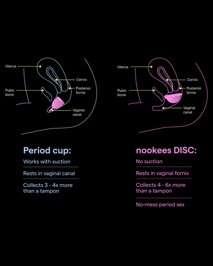 THE DISC